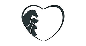 Du betrachtest gerade Maria Clasen