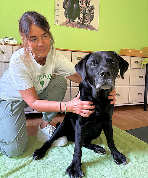 Hundeosteopathie - Struktur und Funktion des Körpers