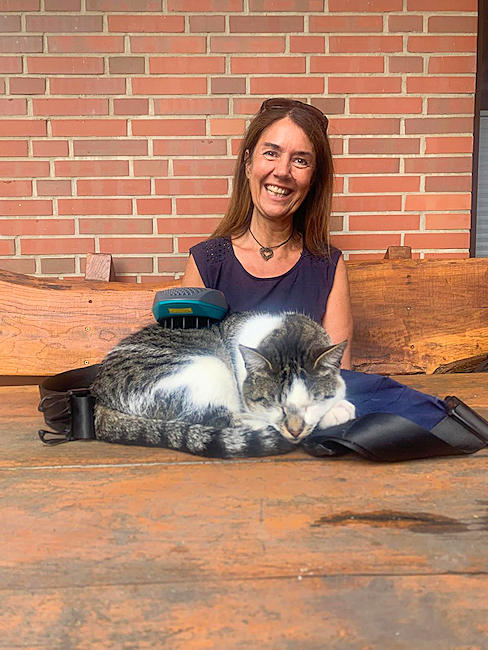 Tierheilpraxis Klinck - Katzen